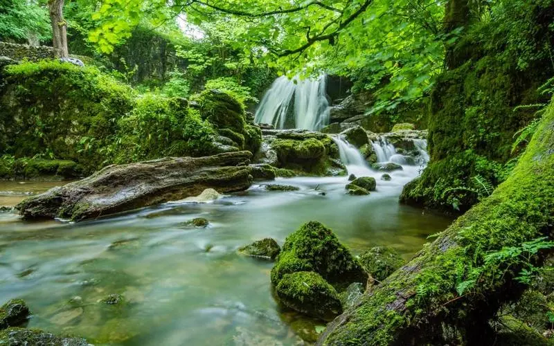 可靠性高标准高质量
